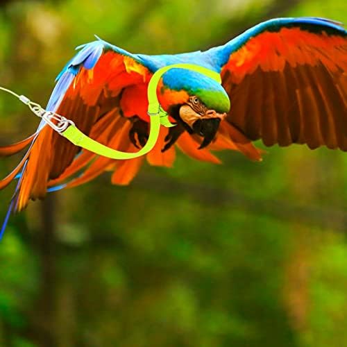 Ipetboom Madár Bokalánc Hám Póráz: 2db Állítható Kisállat Papagáj Repül Hám Képzés Kötél Láb Gyűrű Tartozékok