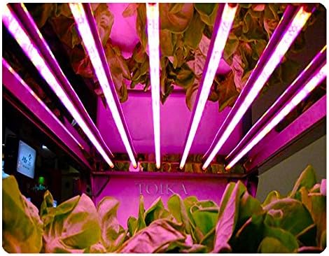 Toika【25 Pack】T8 4 Láb Nő LED Világítás Beépített Cső 4FT 20W (40W Egyenértékű) , led Növény Fény Integrált