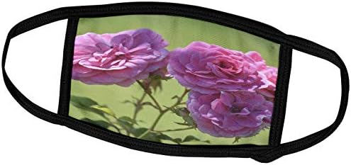 3dRose PS Virágok - Olyan Szép - Rózsaszín Rózsák A Kertben - Gyönyörű Virágok - Álarcok (fm_57815_1)