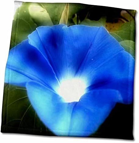 3dRose Fény Belül hajnalka egy gyönyörű kék hajnalka virág - Törölköző (twl-232033-3)