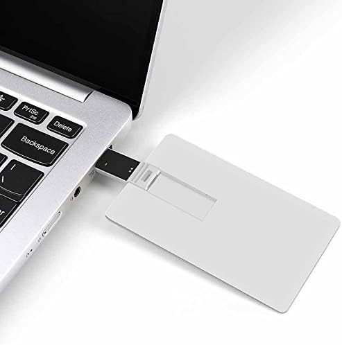 Pörölycápa Minta USB Flash Meghajtó Hitelkártya Design USB Flash Meghajtó Személyre szabott Memory Stick